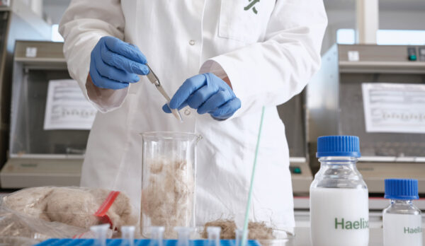 laboratory technician analysing nettle in lab