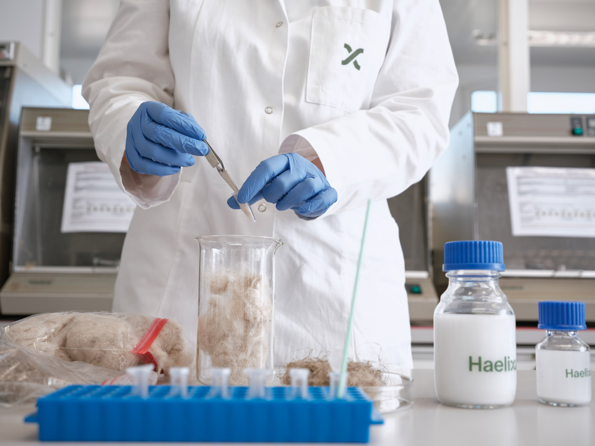 laboratory technician analysing nettle in lab