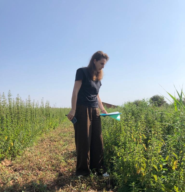 Cornelia Bamert in a field of nettle for Nettle Circle sustainable fiber production