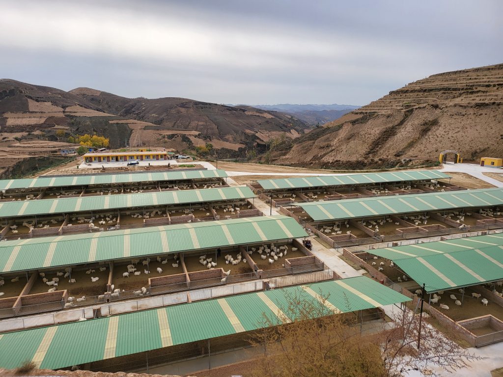 Goat Farm