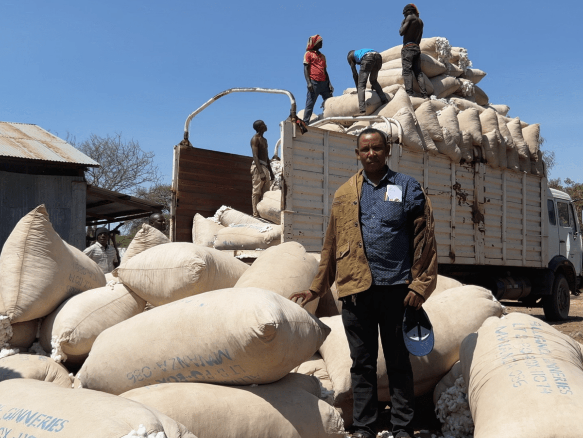 Un écosystème de production de coton régénérateur en Tanzanie